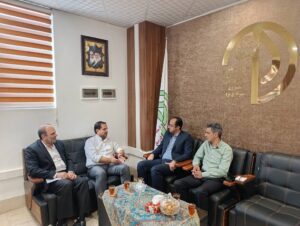 سازمان ساماندهی مشاغل شهری یزد خواستار همراهی نهاد مردمی رسالت شد